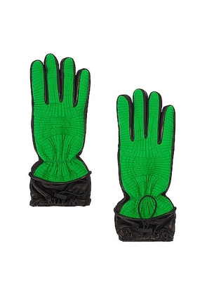 Bottega Veneta Ntreccio Gloves in Parakeet & Black - Green. Size 8 (also in 7.5).