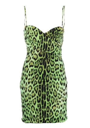 Roberto Cavalli jaguar print sleeveless minidress - Green