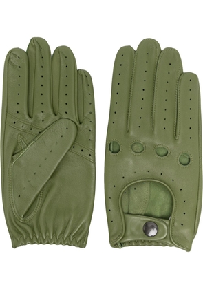 Mackintosh perforated driving gloves - Green