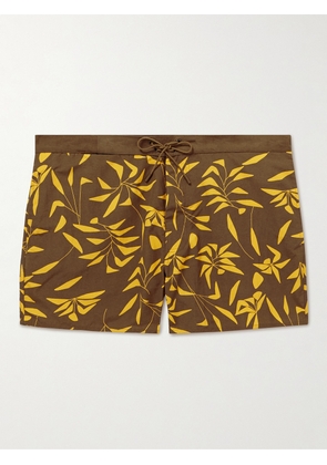 SAINT LAURENT - Straight-Leg Printed Twill Drawstring Shorts - Men - Brown - XS