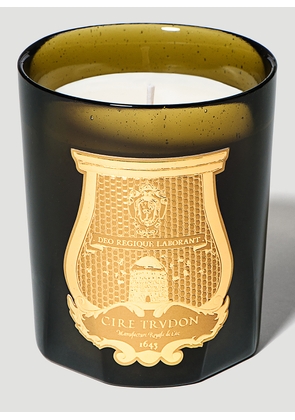Cire Trudon Ernesto Candle -  Candles & Scents Green One Size