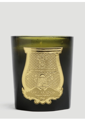 Cire Trudon Spiritus Sancti Candle -  Candles & Scents Green One Size