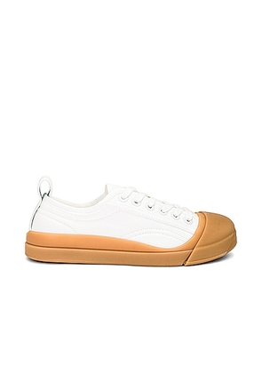 Bottega Veneta Vulcan Low Top Sneaker in Optic White & Honey - White. Size 38 (also in 40, 41).