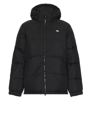 Dickies Waldenburg Hooded Jacket in Black - Black. Size L (also in M, S).