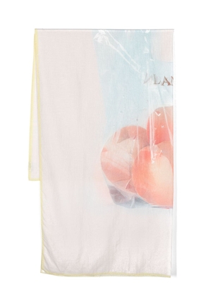 Lanvin watercolour-print scarf - Neutrals