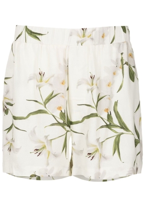 Osklen botanical-print shorts - Neutrals