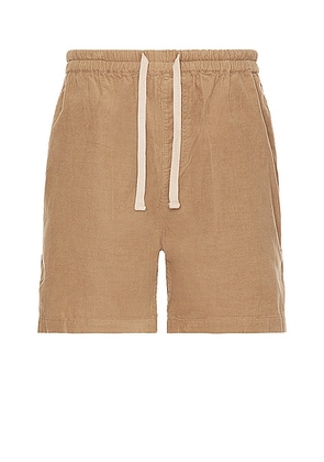 FRAME Spring Cord Shorts in Dark Beige - Brown. Size XL/1X (also in ).