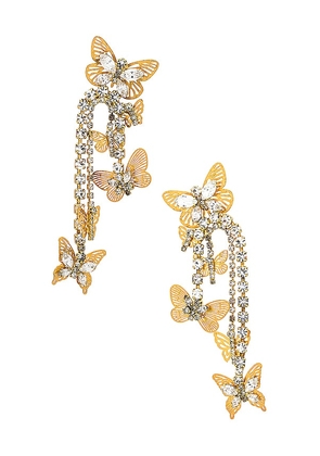 Elizabeth Cole Mariposa Earrings in Metallic Gold.