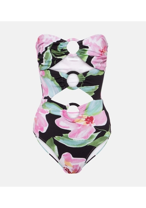 Alexandra Miro Anya cutout floral swimsuit