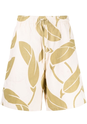 YMC leaf-print drawstring-waist cotton shorts - Yellow