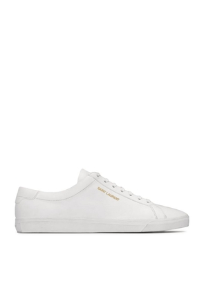 Saint Laurent Leather Andy Sneakers