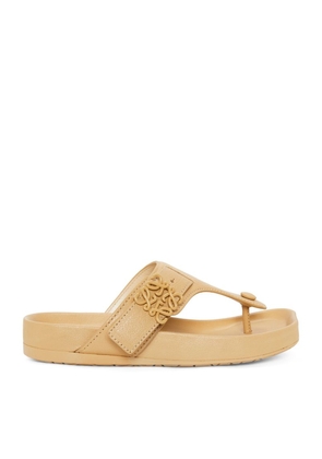 Loewe Leather Ease Sandals