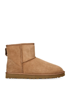Ugg Suede Mini Boots