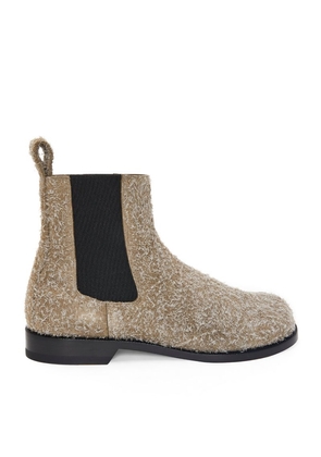 Loewe Suede Campo Chelsea Boots