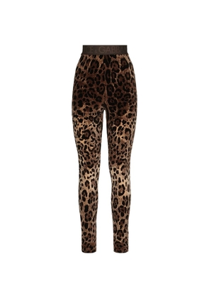Dolce & Gabbana Velvet Leopard Print Leggings
