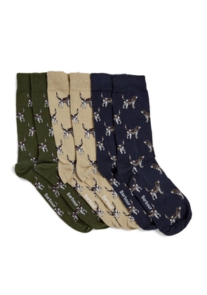Barbour Pointer Dogs Socks (Pack of 3)