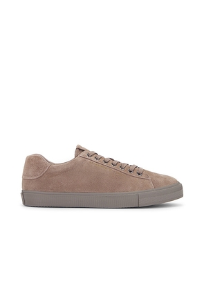 ALLSAINTS Brody Low Top Sneaker in Taupe. Size 13, 7, 9.