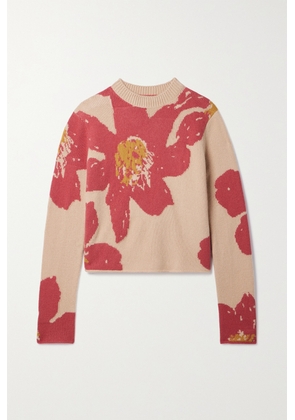 The Elder Statesman - Cropped Intarsia Cashmere Sweater - Pink - x small,small,medium,large