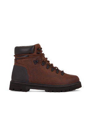 G.H.BASS Marcy Hiker in Brown. Size 8, 9.