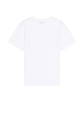 ALLSAINTS Curtis Tee in White. Size S, XL/1X.