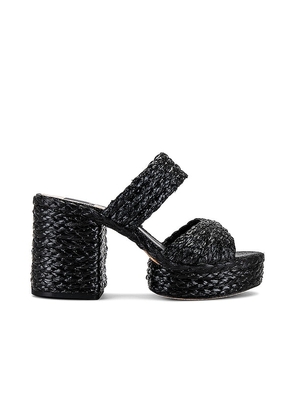 Dolce Vita Latoya Sandal in Black. Size 8, 8.5, 9, 9.5.