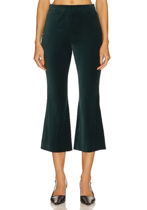 BCBGMAXAZRIA Velvet Crop Pant in Dark Green. Size 10, 2, 4, 6, 8.