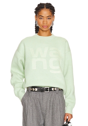 Alexander Wang Debossed Stacked Logo Unisex Pullover in Mint. Size M, S, XS.