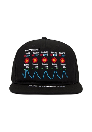 Jungles Fine Without You Cap in Black.