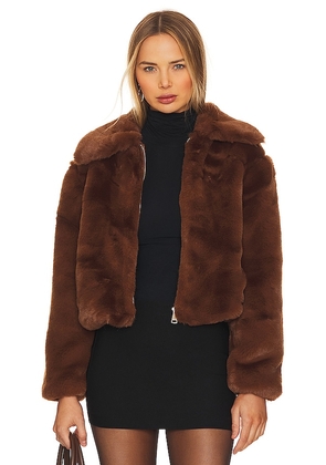 Steve Madden Juniper Faux Fur Coat in Brown. Size M, XL.