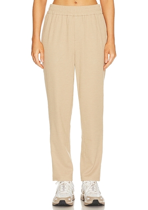 WAO Ribbed Knit Pant in Tan. Size M, XL/1X, XS.