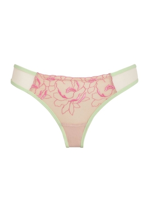 Dora Larsen Embroidered Tulle Lucille Thong