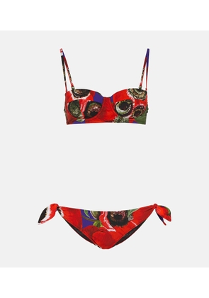 Dolce&Gabbana Balconette Poppy bikini