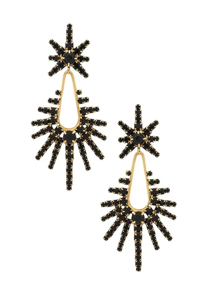 Elizabeth Cole Remington Earrings in Black.