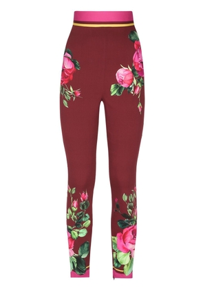 Dolce & Gabbana rose-print skinny trousers - Red