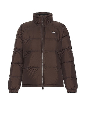 Dickies Waldenburg Jacket in Chocolate Brown - Chocolate. Size XL/1X (also in ).