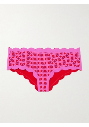Marysia - Spring Scalloped Laser-cut Bikini Briefs - Pink - x small,small,medium,large