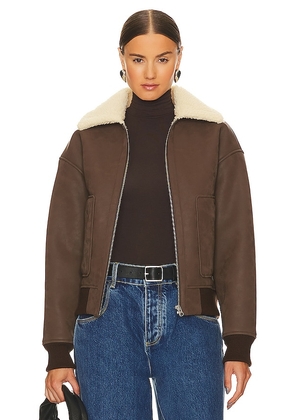 L'Academie Camila Shearling Bomber in Chocolate. Size L, XL, XS.