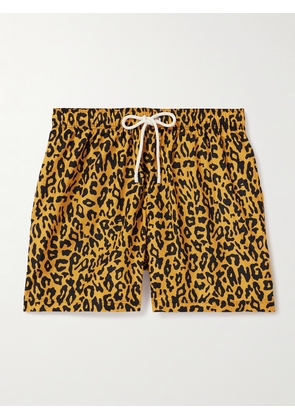 Palm Angels - Straight-Leg Mid-Length Cheetah-Print Swim Shorts - Men - Orange - S