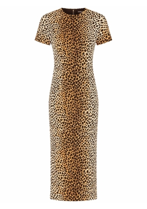 Dolce & Gabbana leopard print short-sleeve dress - Brown