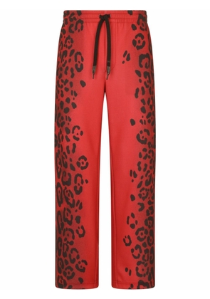 Dolce & Gabbana leopard-print wide-leg trousers - Red