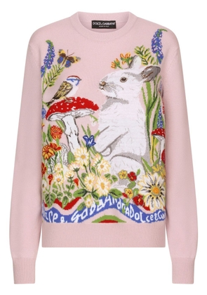 Dolce & Gabbana intarsia-knit round neck jumper - Pink
