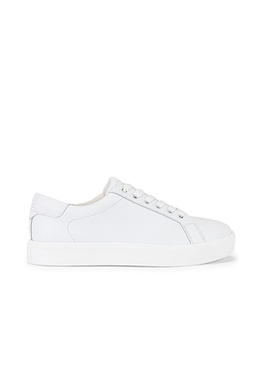 Sam Edelman Ethyl Sneaker in White. Size 8, 9.5.
