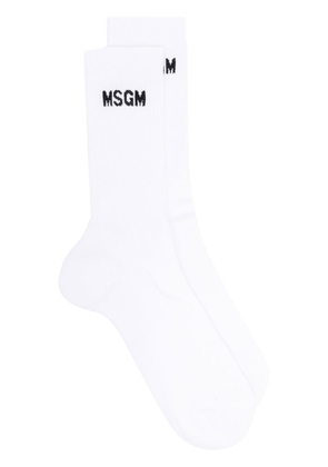 MSGM intarsia-knit logo ankle socks - White