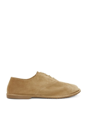 Loewe Suede Folio Lace-Up Shoes