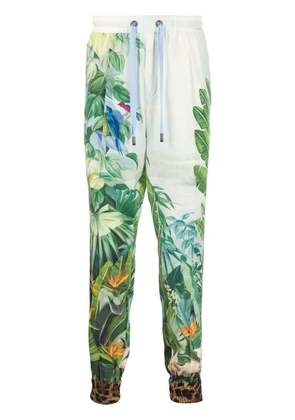 Dolce & Gabbana tropical print track pants - Green