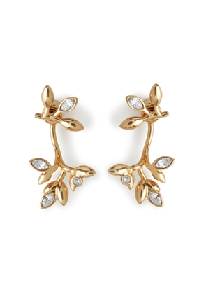 Mulberry Women's Mulberry Leaf Earrings - Gold
