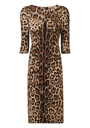 Dolce & Gabbana leopard-print midi dress - Brown