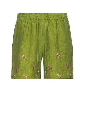 HARAGO Embroidered Shorts in Green - Green. Size M (also in L, XL/1X).