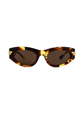 Bottega Veneta Bold Ribbon Cat Eye Sunglasses in Brown.