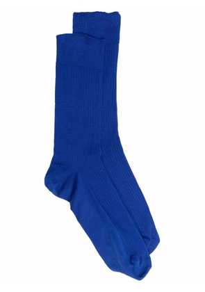 Mackintosh Pembroke ribbed socks - Blue